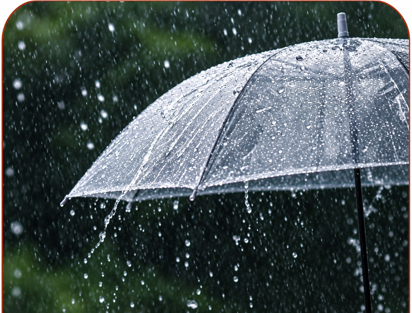 雨